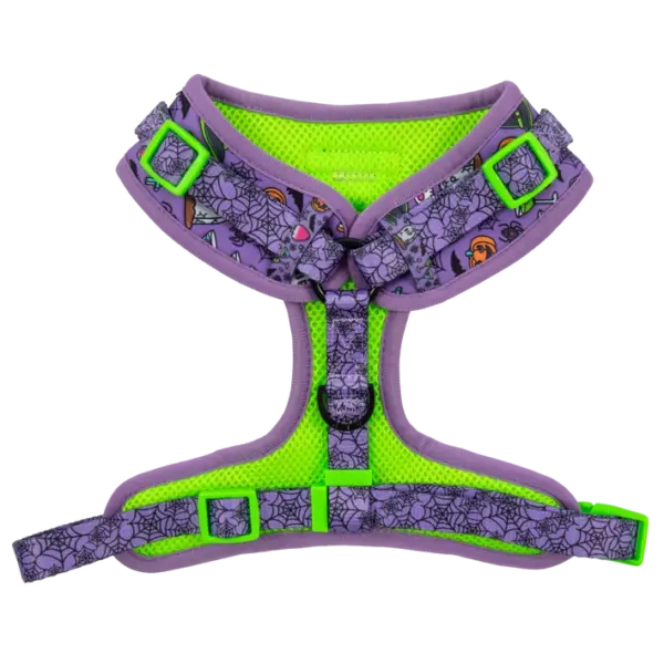 Big & Little Dogs ‘Haunted Hound’ Adjustable Dog Harness at The Lancashire Dog Company