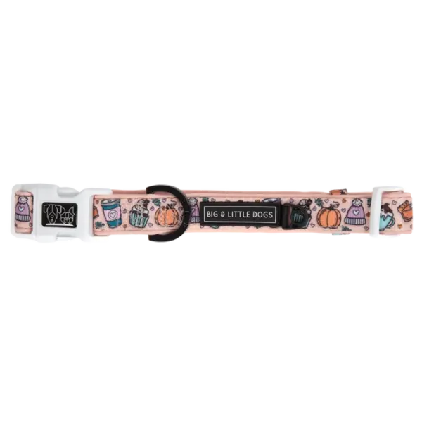 Big & Little Dogs Pupkin Spice Dog Collar at The Lancashire Dog Company