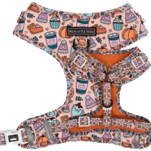 Big & Little Dogs ‘Pupkin Spice’ Dog Harness at The Lancashire Dog Company