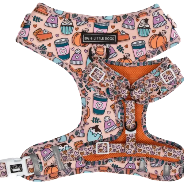 Big & Little Dogs ‘Pupkin Spice’ Dog Harness at The Lancashire Dog Company