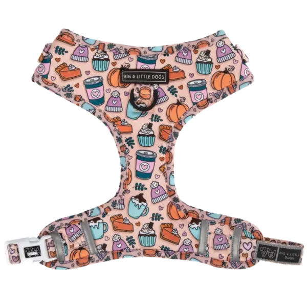 Big & Little Dogs ‘Pupkin Spice’ Dog Harness at The Lancashire Dog Company