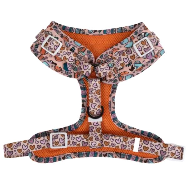 Big & Little Dogs ‘Pupkin Spice’ Dog Harness at The Lancashire Dog Company