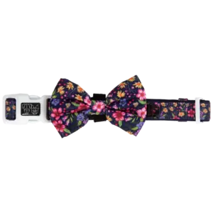 Big & Little Dogs Petal Paradise Dog Collar at The Lancashire Dog Company