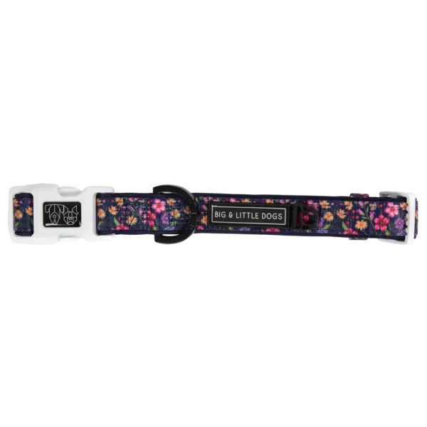 Big & Little Dogs Petal Paradise Dog Collar at The Lancashire Dog Company