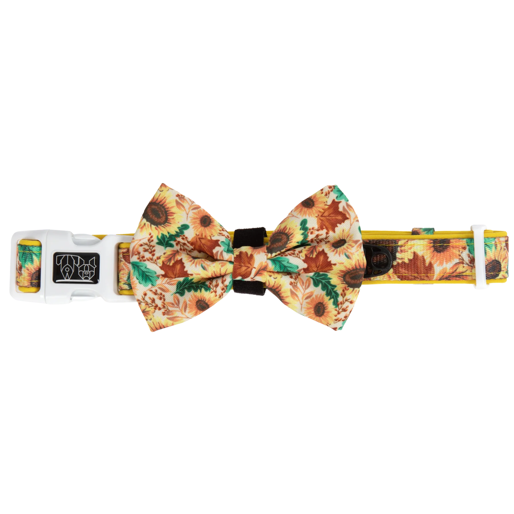 Big bow 2025 dog collar