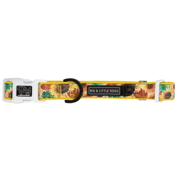 Big & Little Dogs Winter Bloom Dog Collar at The Lancashire Dog Company