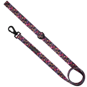 Big & Little Dogs Petal Paradise Dog Lead at The Lancashire Dog Company