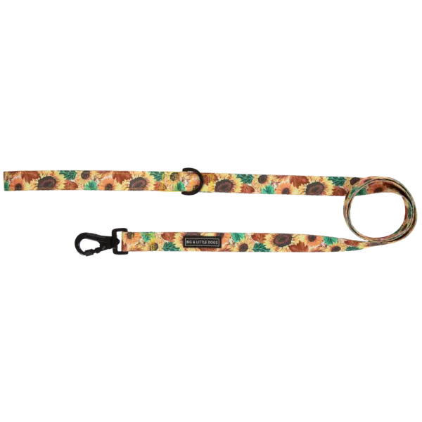 Big & Little Dogs Winter Bloom Dog Lead at The Lancashire Dog Company