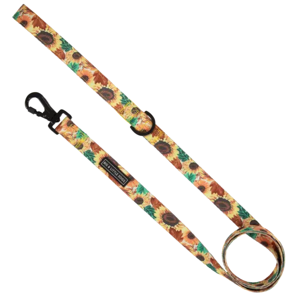 Big & Little Dogs Winter Bloom Dog Lead at The Lancashire Dog Company