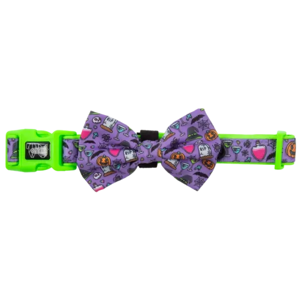 Big & Little Dogs Haunted Hound Dog Collar | The Lancashire Dog Company