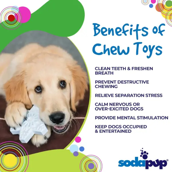 SodaPup Snowflake Dog Chew Toy at The Lancashire Dog Company