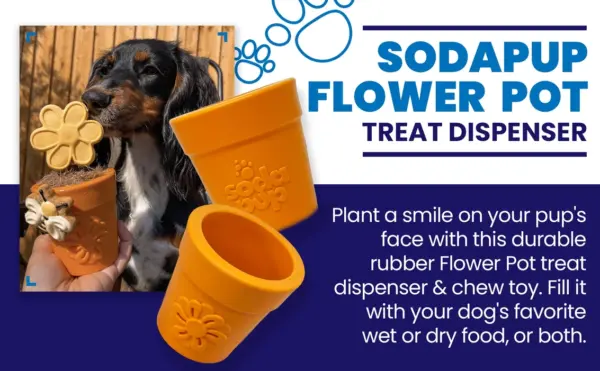 SodaPup Orange Flower Pot Enrichment Dog Toy at The Lancashire Dog Company
