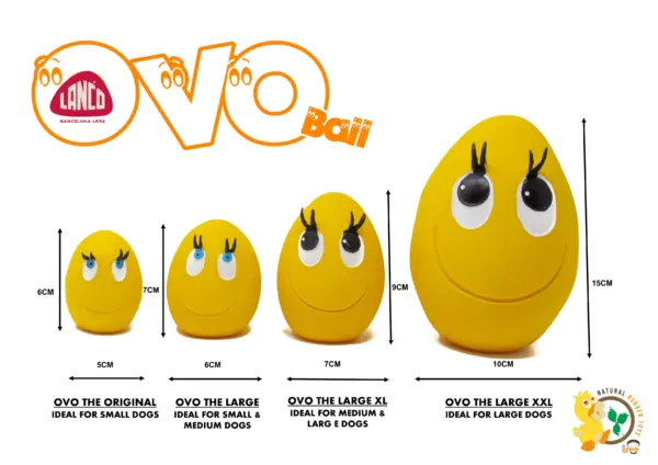 OVO Egg Size Guide The Lancashire Dog Company