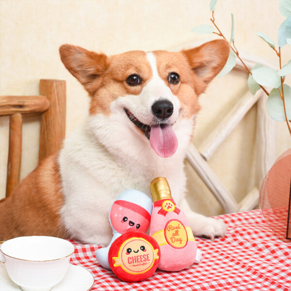 HugSmart Picnic Time Backyard Picnic Dog Toy at The Lancashire Dog Company