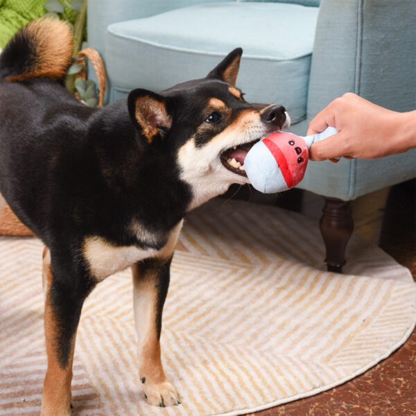 HugSmart Picnic Time Backyard Picnic Dog Toy at The Lancashire Dog Company