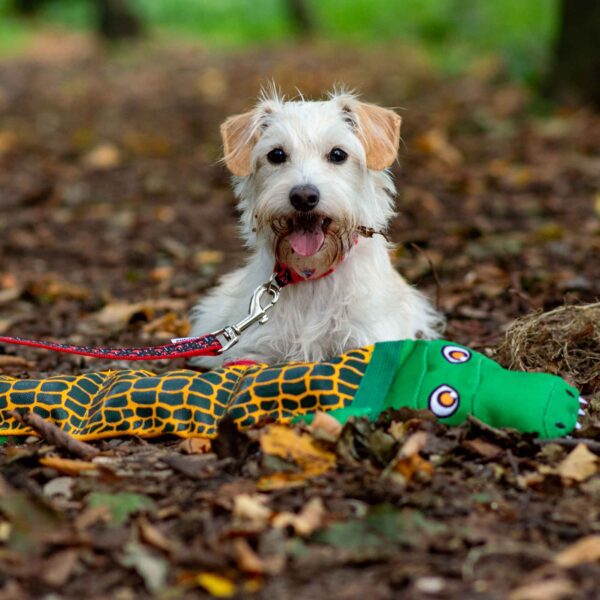 Ancol Tough Crocodile Dog Toy