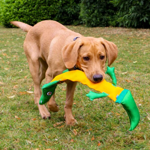 Ancol Tough Crocodile Dog Toy