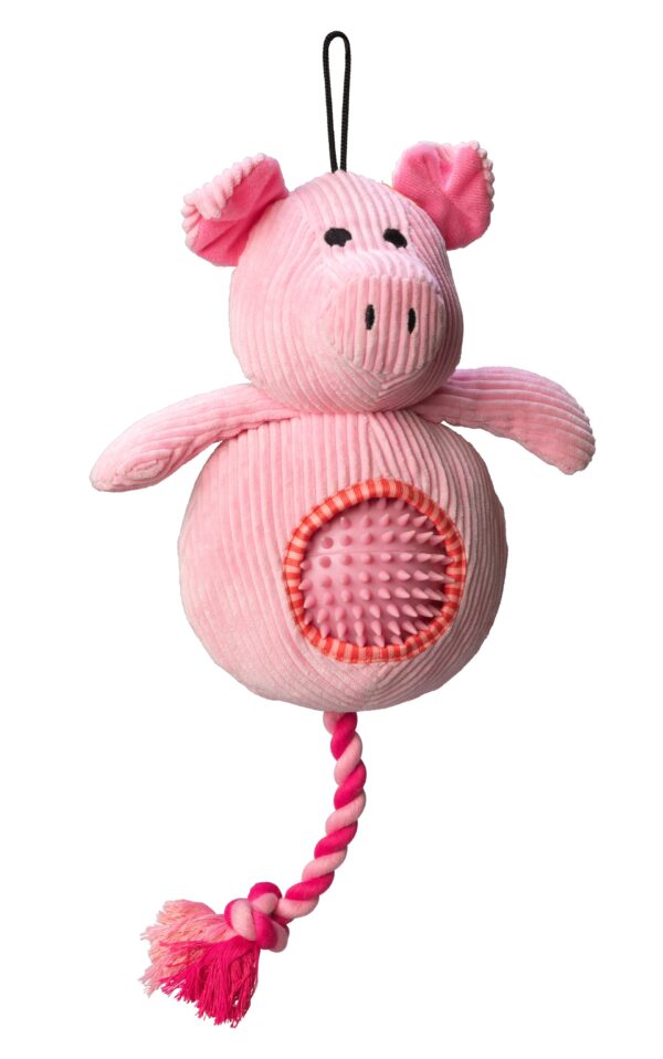 House of Paws Cord Pig Dog Toy with Spiky Ball at The Lancashire Dog Company