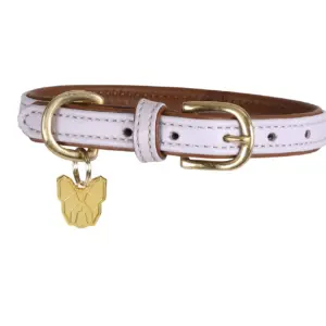 Digby & Fox Lilac Padded Leather Dog Collar at The Lancashire Dog Company