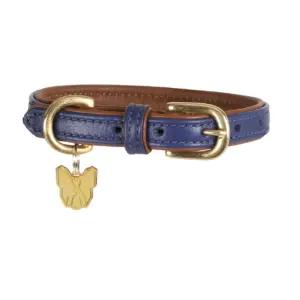 Leather Dog Collars The Lancashire Dog Company