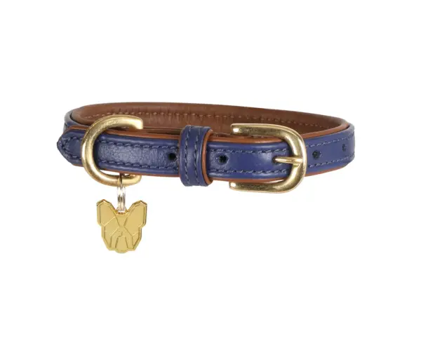 Digby & Fox Navy Blue Padded Leather Dog Collar at The Lancashire Dog Company