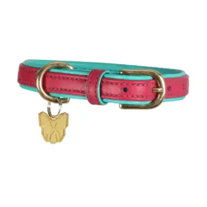 Digby & Fox Pink Padded Leather Dog Collar at The Lancashire Dog Company
