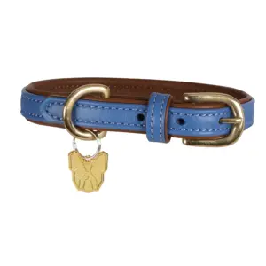 Digby & Fox Royal Blue Padded Leather Dog Collar at The Lancashire Dog Company