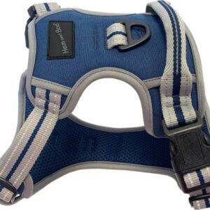Hem & Boo Blue Sports Dog Harness at The Lancashire Dog Company