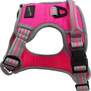 Hem & Boo Bright Pink Sports Dog Harness at The Lancashire Dog Company