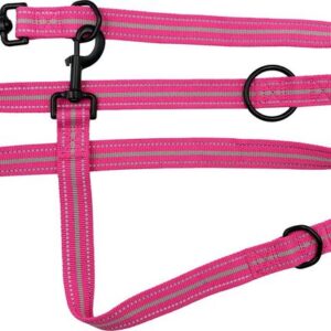 Hem and Boo Bright Pink Sports Training Lead at The Lancashire Dog Company