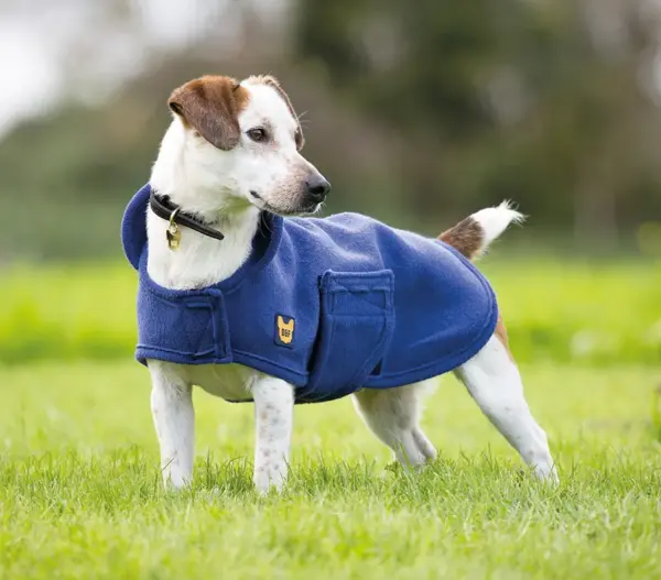 Digby & Fox Towel Dog Coat at The Lancashire Dog Company