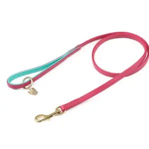 Digby & Fox Pink Leather Dog Lead at The Lancashire Dog Company
