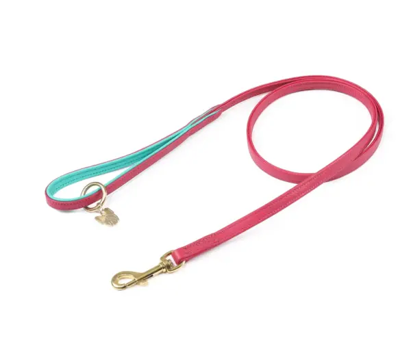 Digby & Fox Pink Leather Dog Lead at The Lancashire Dog Company