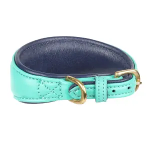 Digby & Fox Teal Padded Sighthound Leather Dog Collar at The Lancashire Dog Company