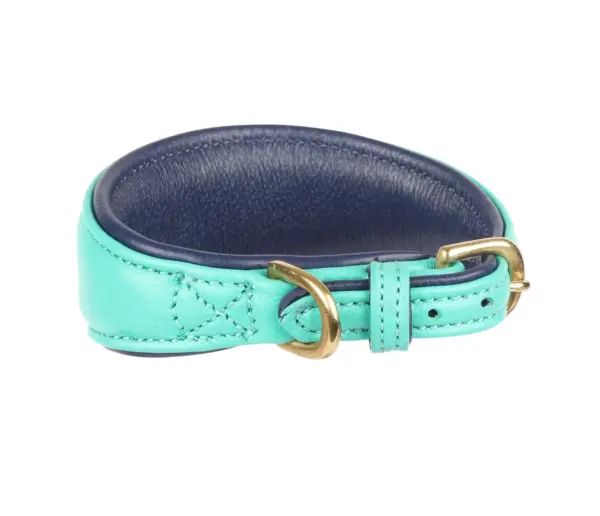 Digby & Fox Teal Padded Sighthound Leather Dog Collar at The Lancashire Dog Company