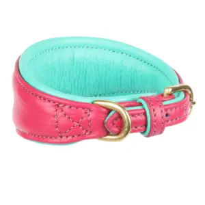 Digby & Fox Pink Padded Sighthound Leather Dog Collar at The Lancashire Dog Company
