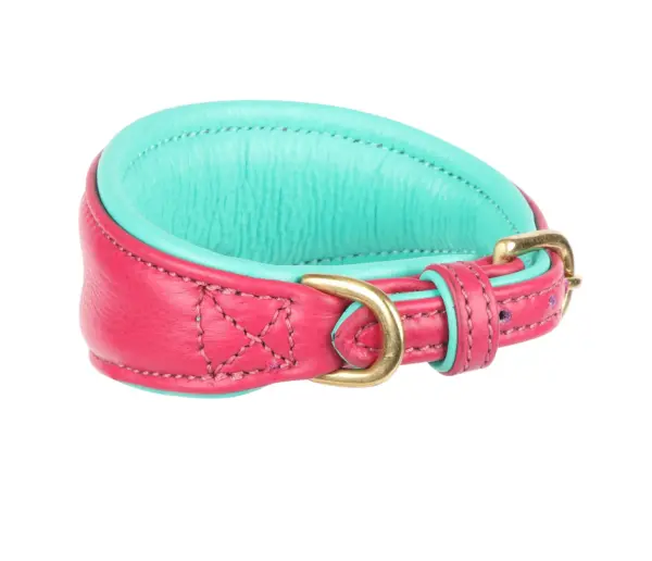 Digby & Fox Pink Padded Sighthound Leather Dog Collar at The Lancashire Dog Company