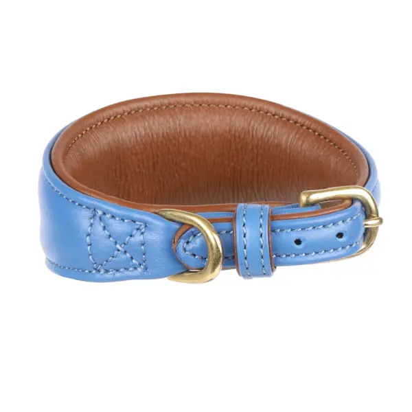 Digby & Fox Royal Blue Padded Sighthound Leather Dog Collar at The Lancashire Dog Company