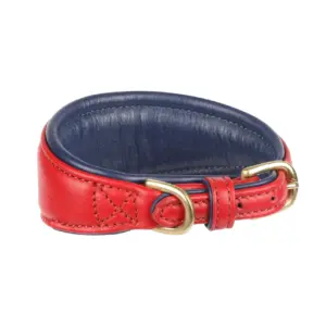 Digby & Fox Scarlett Padded Sighthound Leather Dog Collar at The Lancashire Dog Company