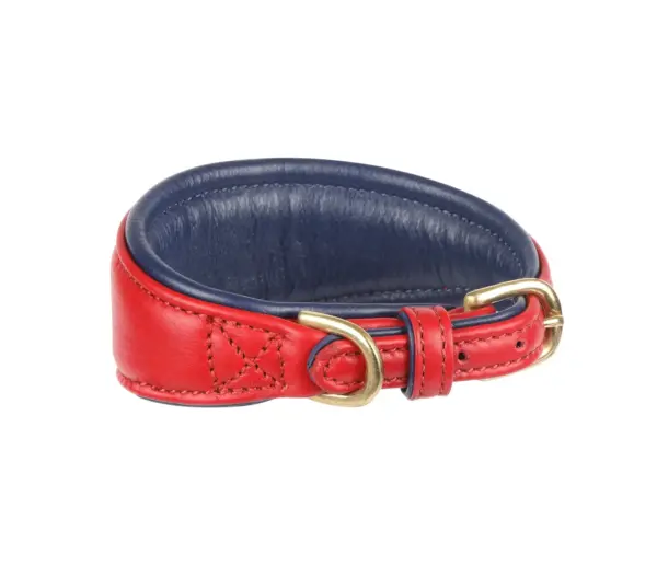 Digby & Fox Scarlett Padded Sighthound Leather Dog Collar at The Lancashire Dog Company