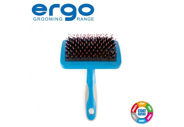 Ancol Hedgehog Slicker Dog Brush at The Lancashire Dog Company