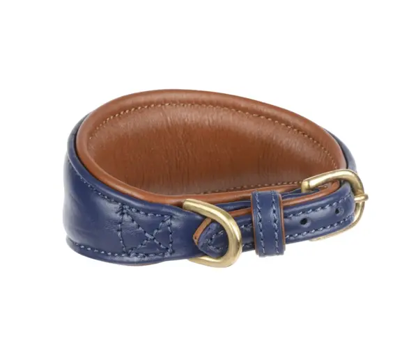 Digby & Fox Navy Padded Sighthound Leather Dog Collar at The Lancashire Dog Company