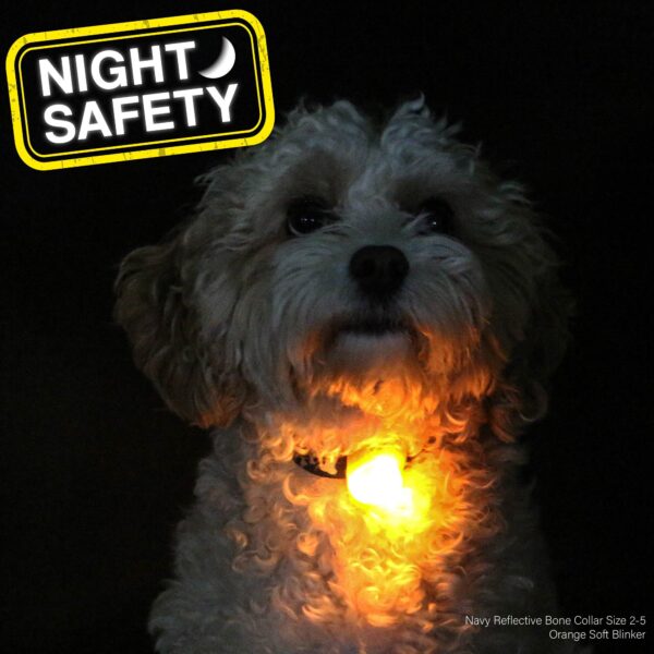 Ancol Blinker Light at The Lancashire Dog Company