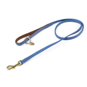 Digby & Fox Royal Leather Dog Lead at The Lancashire Dog Company