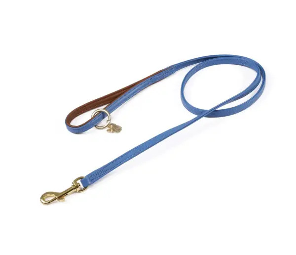 Digby & Fox Royal Leather Dog Lead at The Lancashire Dog Company