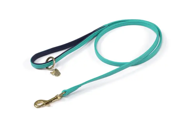 Digby & Fox Teal Leather Dog Lead at The Lancashire Dog Company