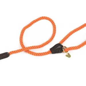 Digby & Fox Orange Rope Dog Lead at The Lancashire Dog Company