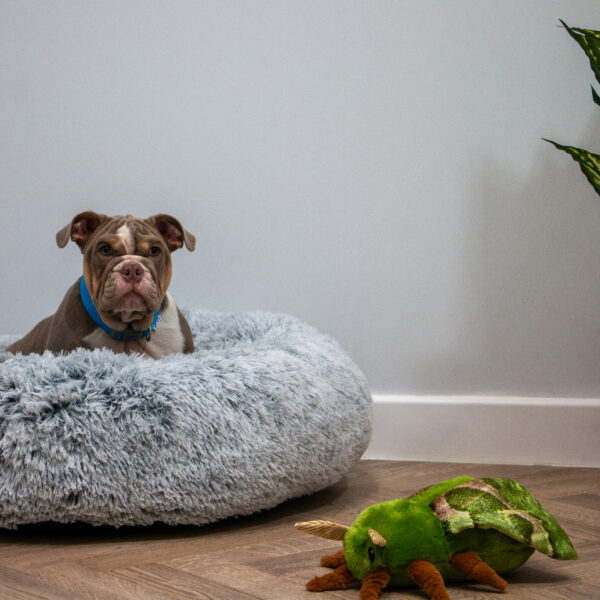 Ancol Cuddle Fluffy Moths Dog Toy at The Lancashire Dog Company