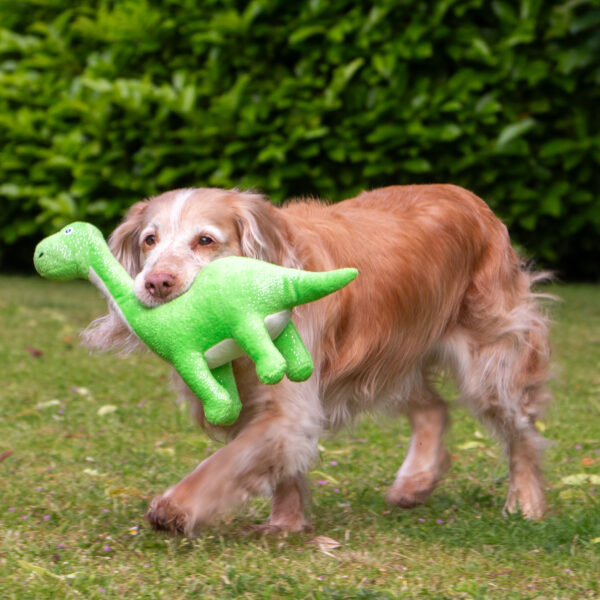 Ancol Roarsome Dino's Dog Toy at The Lancashire Dog Company