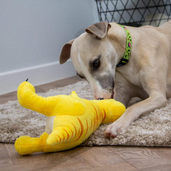 Ancol Roarsome Dino's Dog Toy at The Lancashire Dog Company